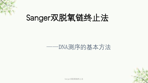 Sanger双脱氧链终止法课件