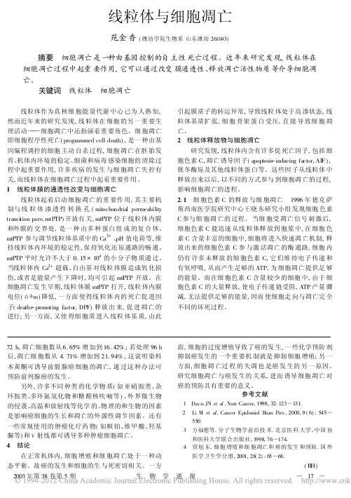 线粒体与细胞凋亡
