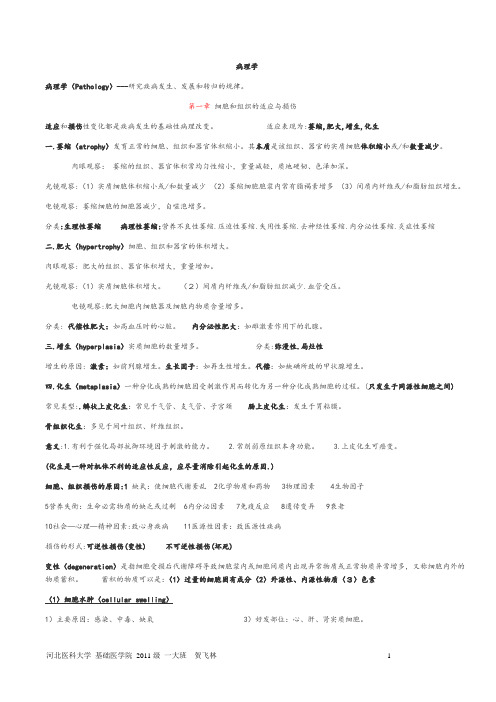 病理学重点笔记__第2版重点