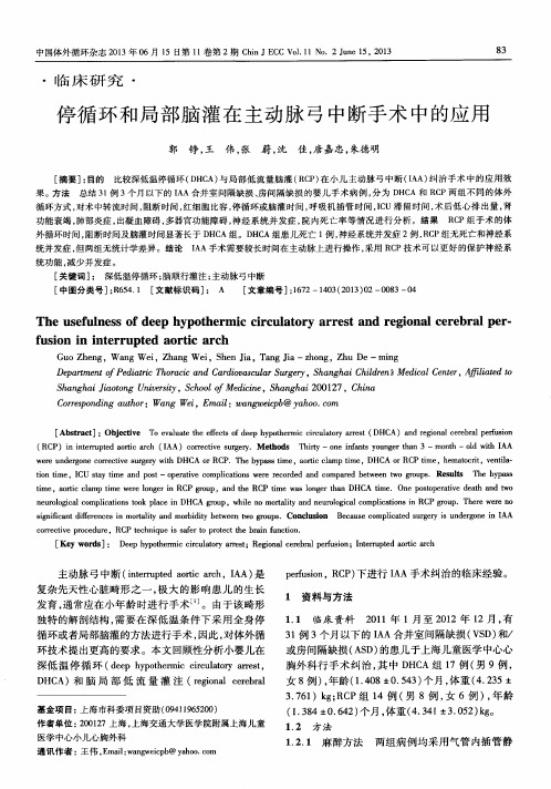 停循环和局部脑灌在主动脉弓中断手术中的应用