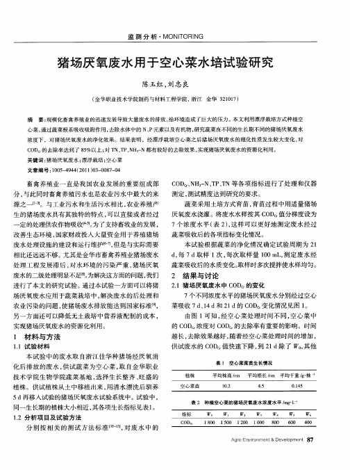 猪场厌氧废水用于空心菜水培试验研究
