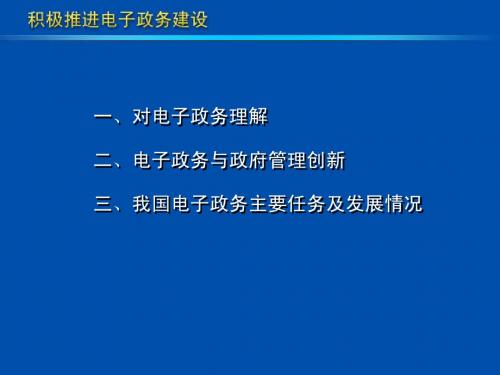 电子政务专题讲座