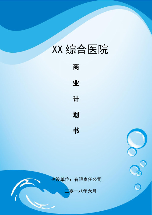 医院项目商业计划书