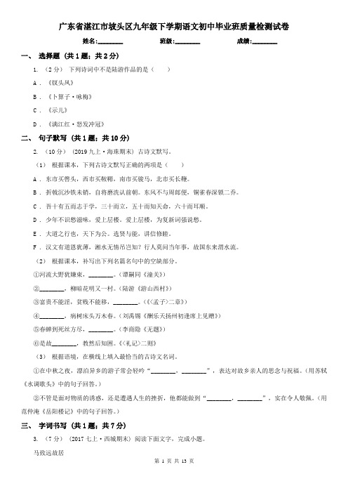 广东省湛江市坡头区九年级下学期语文初中毕业班质量检测试卷