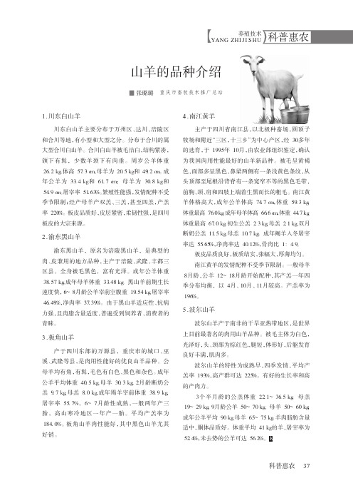 山羊的品种介绍