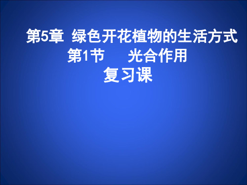 北师大版生物七年级上册《光合作用》