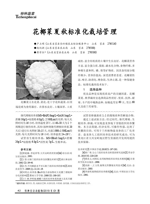 花椰菜夏秋标准化栽培管理
