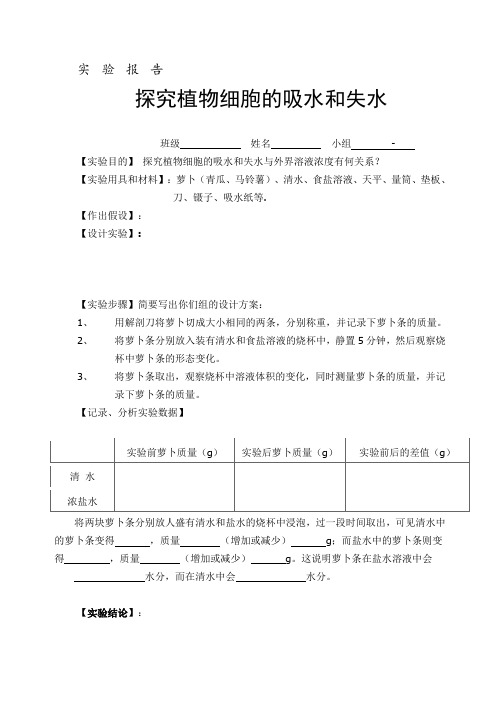 实  验  报  告
