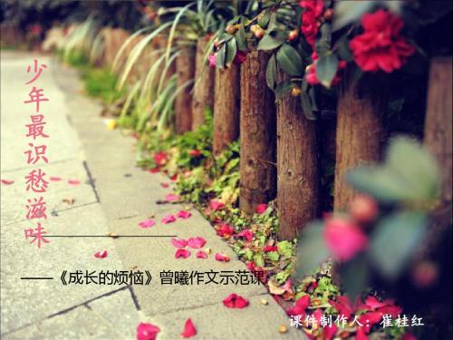 成长的烦恼ppt
