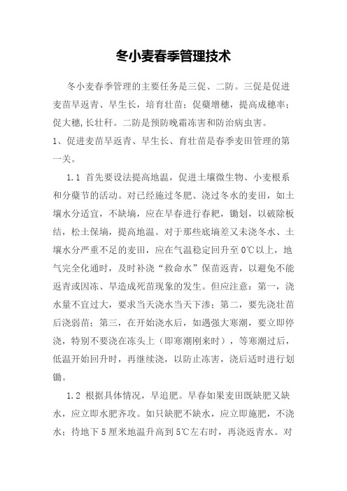冬小麦春季管理技术