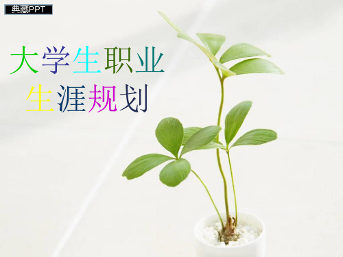 大学生职业生涯规划与职业评估调整PPT课件