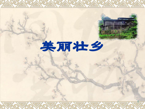 综合实践美丽壮乡ppt课件