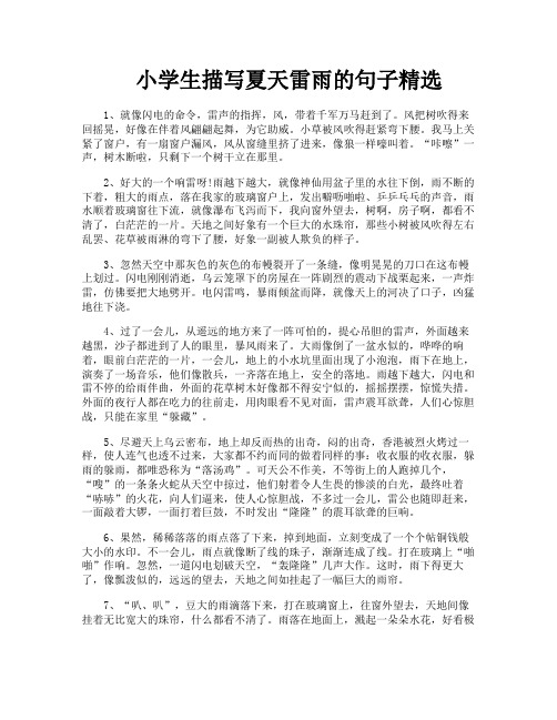 小学生描写夏天雷雨的句子精选