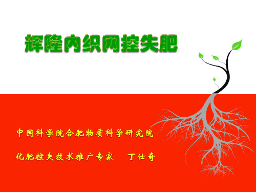 辉隆内织网型复合肥(2014年11月11日)