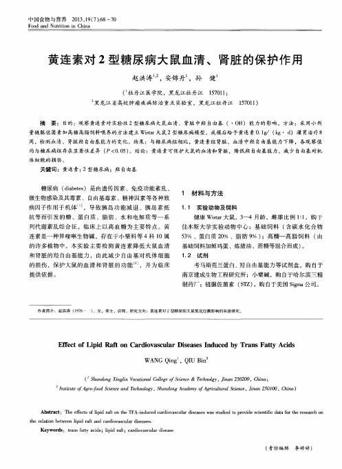 黄连素对2型糖尿病大鼠血清、肾脏的保护作用
