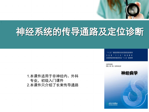 经典：神经系统定位诊断(神经系统传导通路及定位诊断)