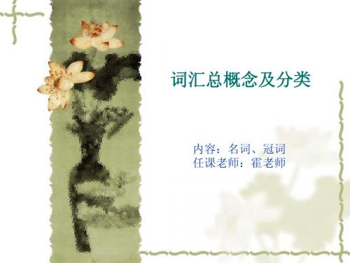 名词与冠词讲义 语法要点