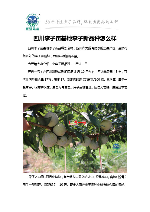 四川李子苗基地李子新品种怎么样