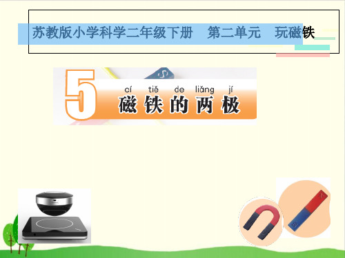 小学二年级下册《5.磁铁的两极》 苏教版 ppt(10张)