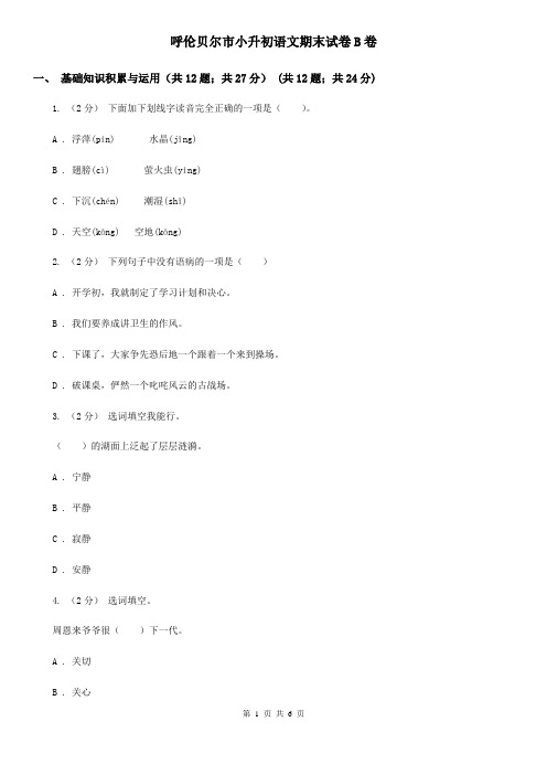 呼伦贝尔市小升初语文期末试卷B卷