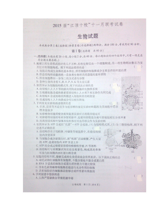 安徽省”江淮十校”2015届高三11月联考生物试题 扫描版含答案