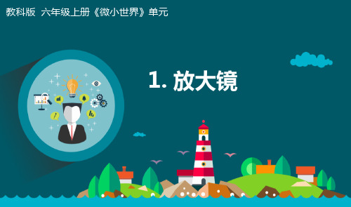 最新教科版小学科学六年级上册《放大镜》教学课件