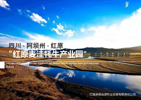 原尚源红原麦洼牦牛产业园概念性总体规划
