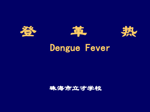 预防登革热PPT课件