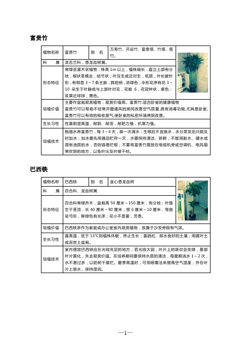 家中常见盆栽花卉
