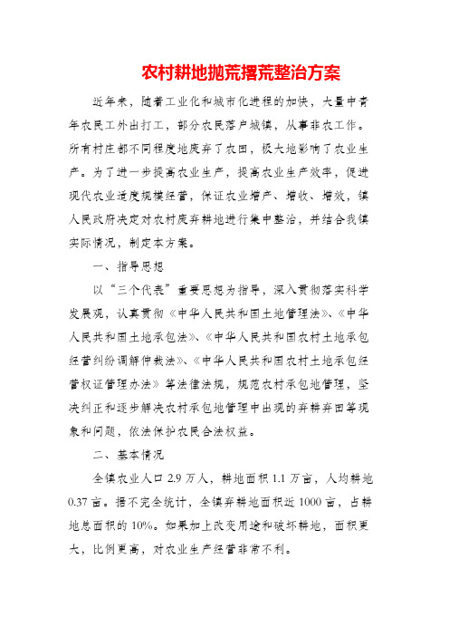 农村耕地抛荒撂荒整治方案