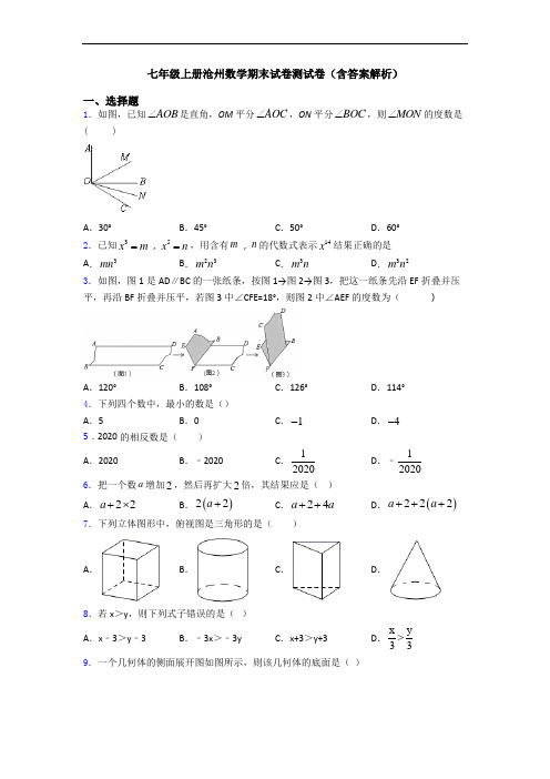 七年级上册沧州数学期末试卷测试卷(含答案解析)