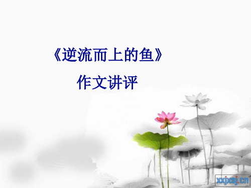 《逆流而上的鱼》作文讲评解析