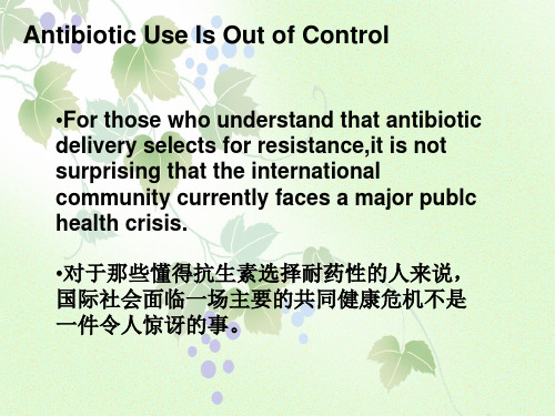 医学英语 抗生素滥用中英文课件ppt