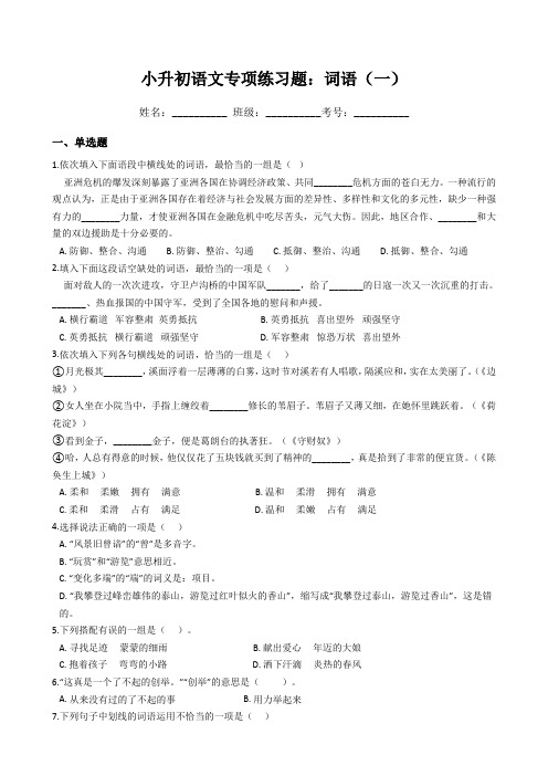 小升初语文专项练习题：词语(一)(Word版,含答案)