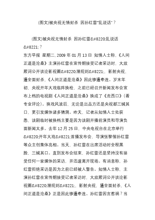(图文)被央视无情封杀 因孙红雷“乱说话”
