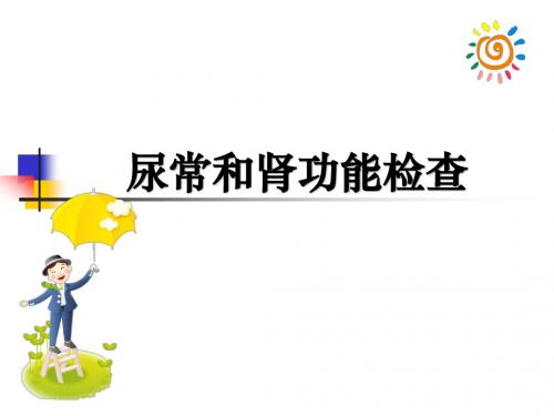 尿常和肾功能检查ppt课件