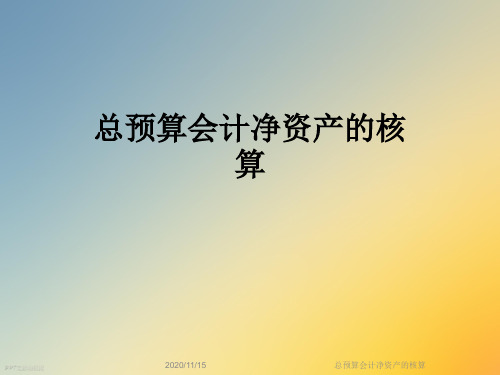 总预算会计净资产的核算