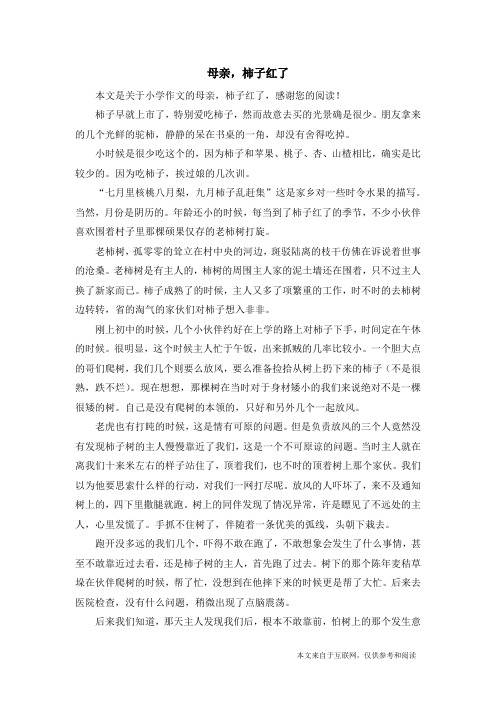 母亲,柿子红了_小学作文