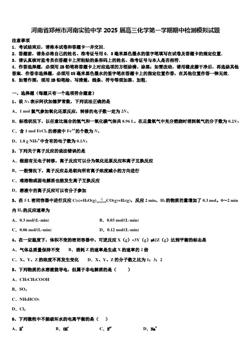 河南省郑州市河南实验中学2025届高三化学第一学期期中检测模拟试题含解析