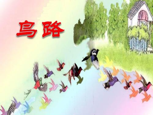 《鸟路》优选公开课件2