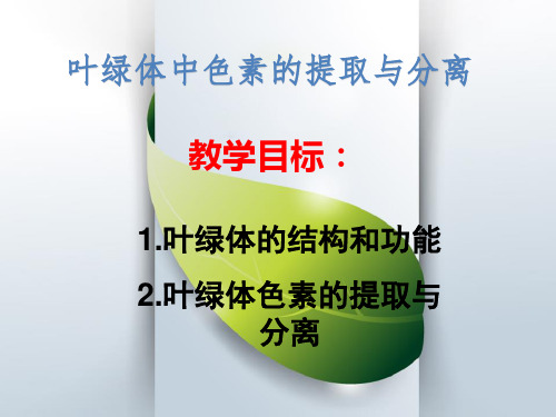 叶绿体中的色素的提取与分离 高中生物必修一教学课件PPT 人教版