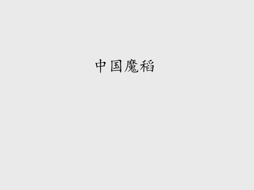 教科版小学五年级语文下册中国魔稻_课件1