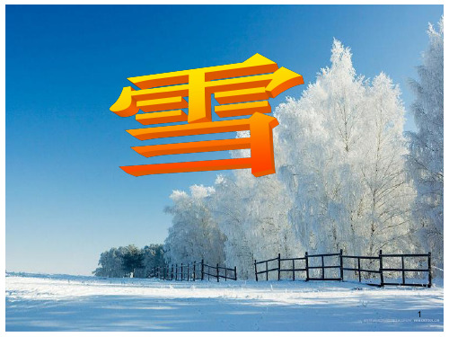 雪  习作指导ppt课件
