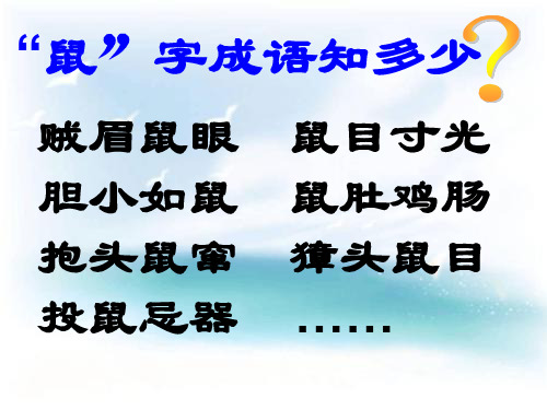 旅鼠之谜PPT教学课件