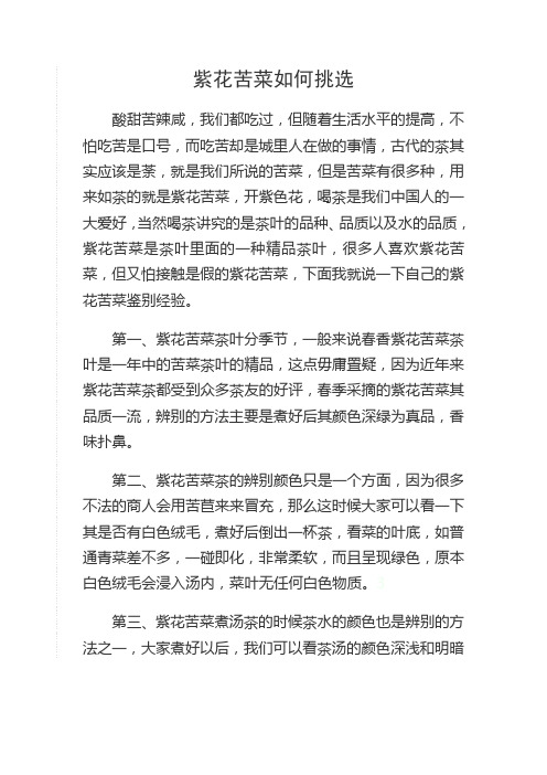 紫花苦菜如何挑选