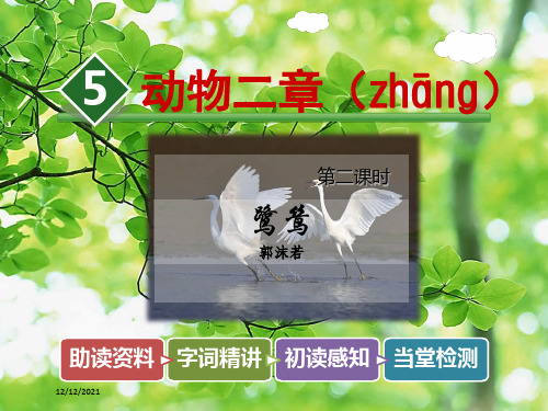 五年级语文上册 第一单元 5《动物二章》第2课时鹭鸶课件 小学五年级上册语文课件