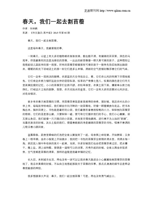 春天,我们一起去割苜蓿