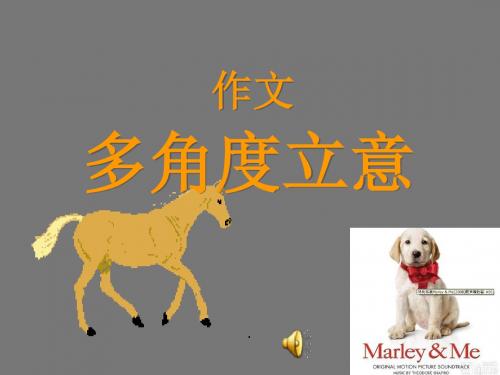 高中作文多角度立意 PPT课件