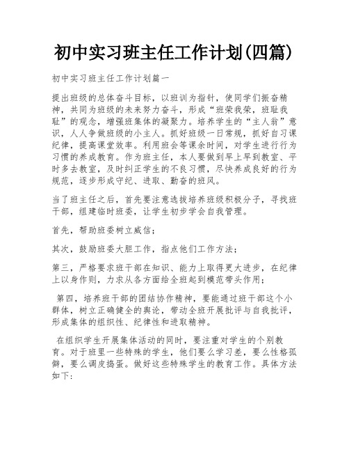 初中实习班主任工作计划(四篇)