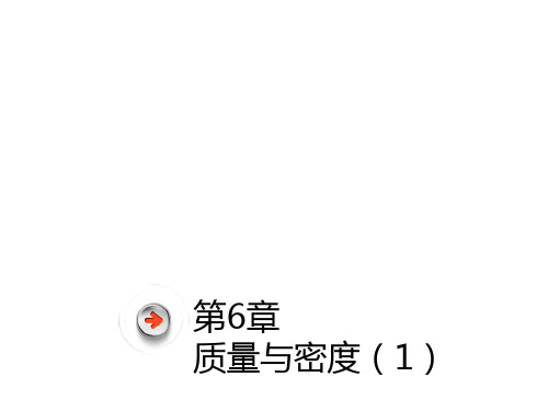 广东省深圳市中考物理总复习 第六章 质量与密度(1)课件